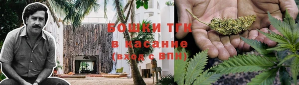 винт Армянск