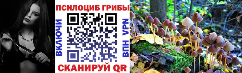 Купить закладки  Нея  Галлюциногенные грибы MAGIC MUSHROOMS 